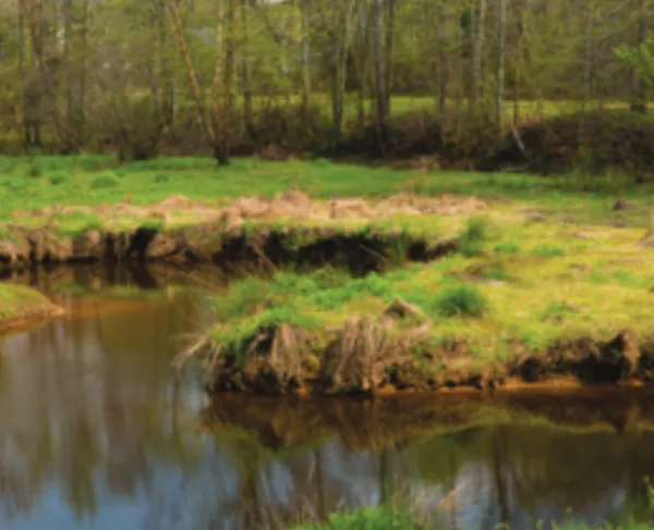 Beaver Dam Creek